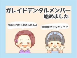 ガレイドデンタルメンバーを使った感想【電動歯ブラシ初心者にオススメ!】